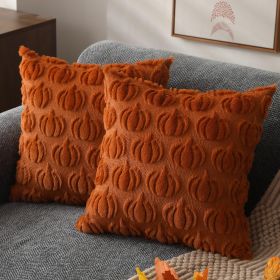 Fall Pillow Covers 18x18 Set of 2 Fall Decorations Autumn Rust Pumpkin Throw Pillow Cases Soft Plush Faux Fur Wool
